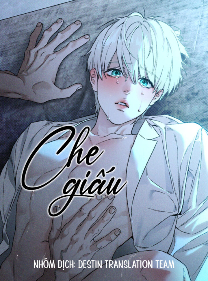 Che Giấu