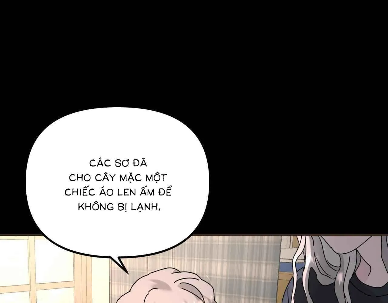 Đọc truyện Cây Không Rễ - Chương 79