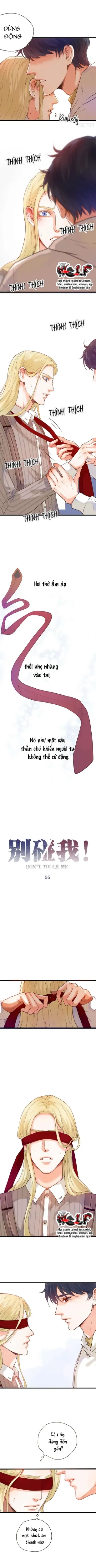Đọc truyện Đừng Chạm Vào Tôi - Chương 55