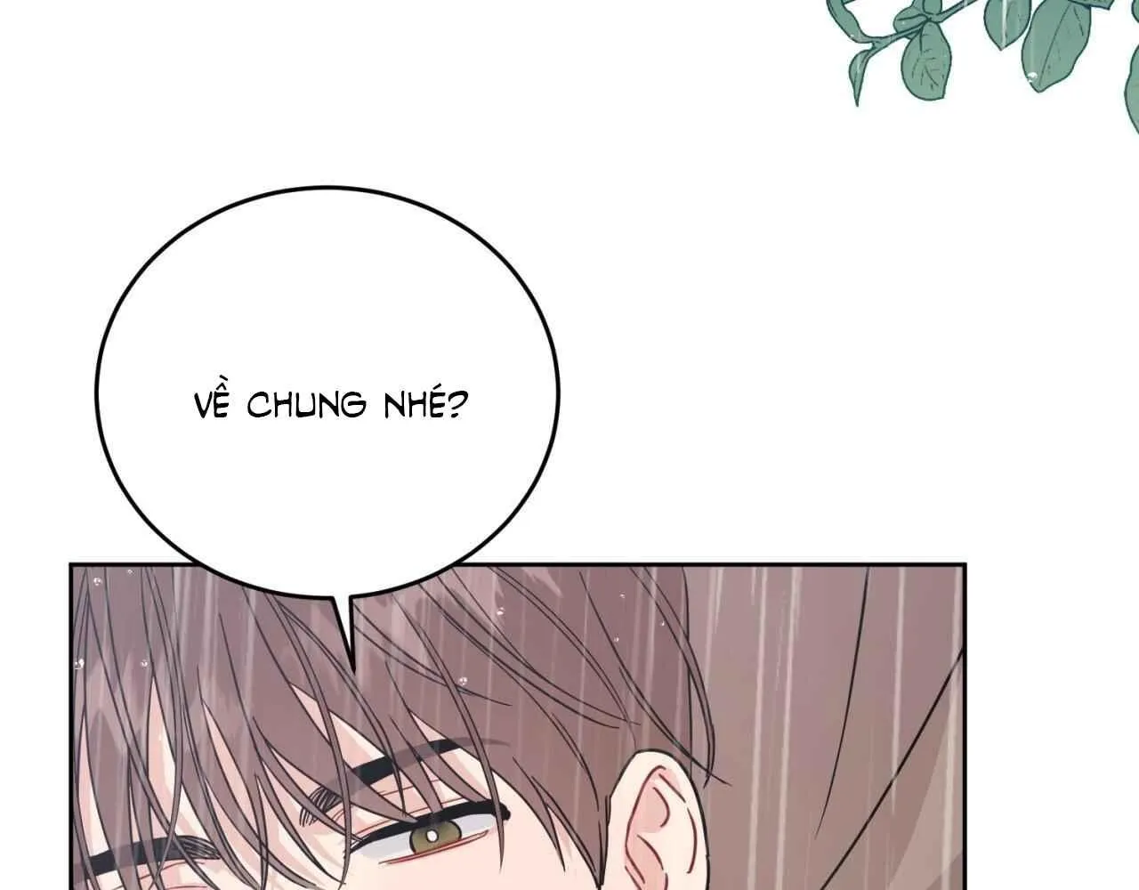 Đọc truyện Không phải đã kết thúc rồi sao? - Chương 15