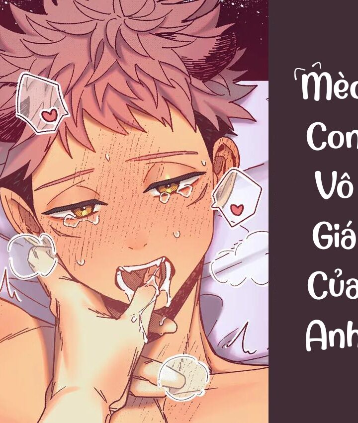 Mèo Con Vô Giá Của Anh