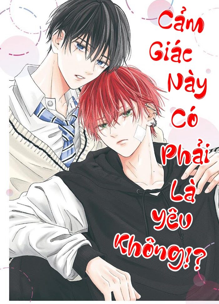 Cảm Giác Này Có Phải Là Yêu Không!?