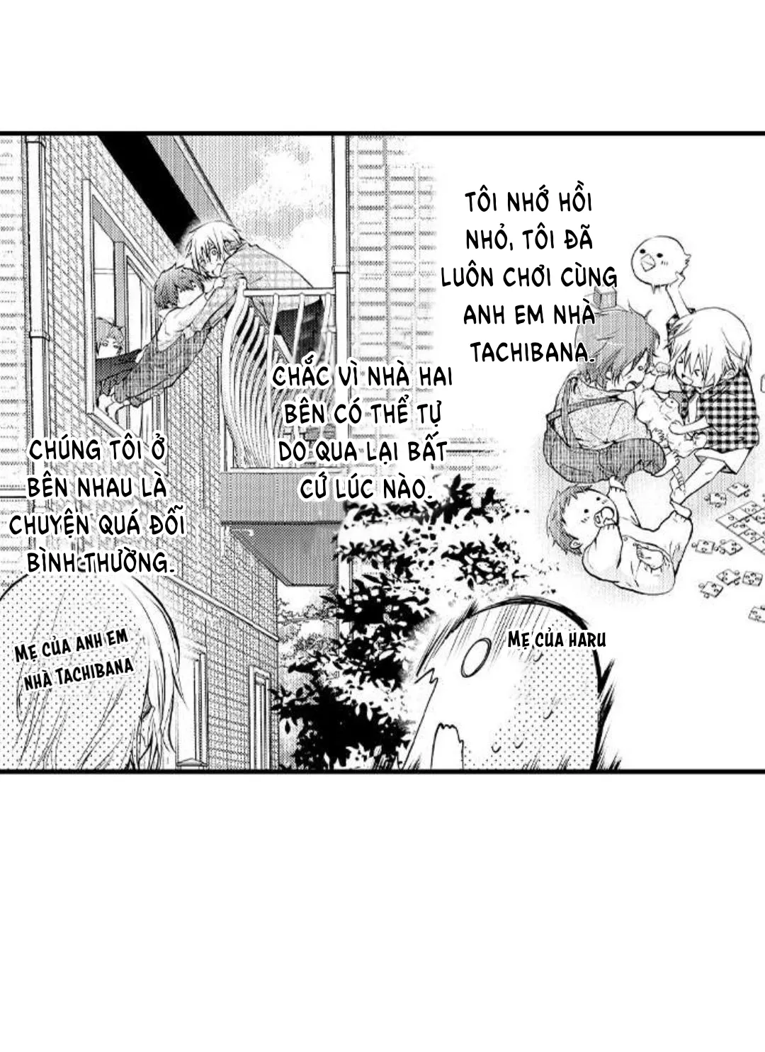 Đọc truyện Cách quan hệ 3P với anh em nhà Tachibana! - Chap 1